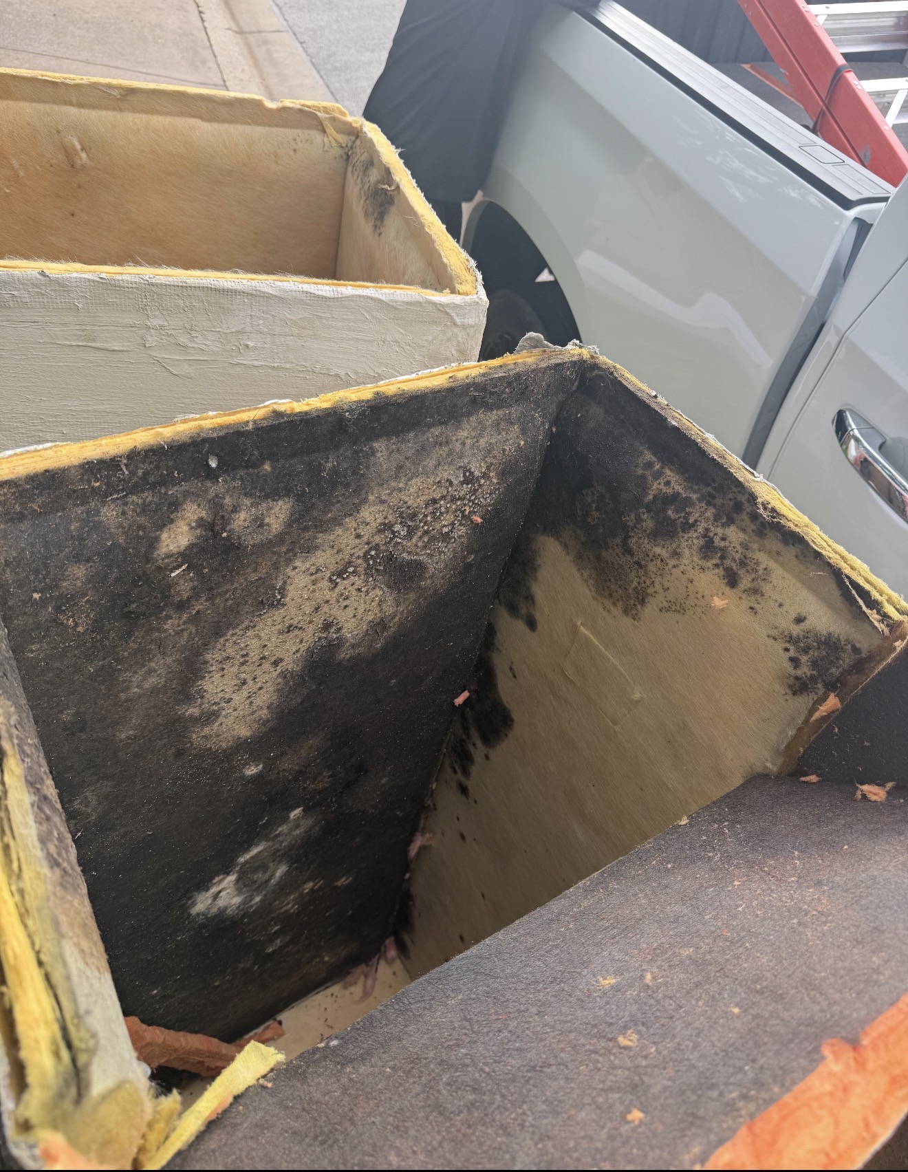 Before — mold inside the removed supply plenums